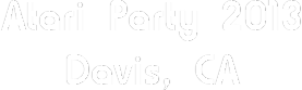 Atari Party 2013; Davis, CA